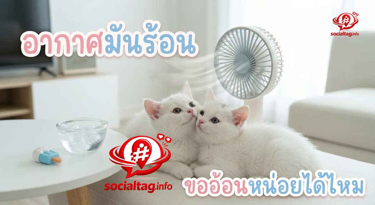 🥰 แคปชั่นอากาศร้อน แบบน่ารักๆ